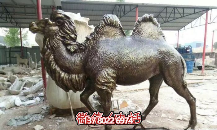 公園擺放的的黑色的不銹鋼仿真駱駝雕塑 公園擺放的的黑色的不銹鋼仿真駱駝雕塑